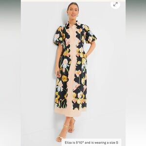 Tuckernuck Moonlit Iris dress